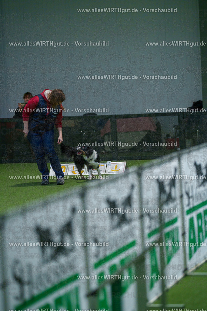 7R505387 | Professionelle Tierfotografie in Mönchengladbach von Daniel Wirth (allesWIRTHgut). Liebevolle & natürliche Bilder von Hunden & Katzen für unvergessliche Erinnerungen.