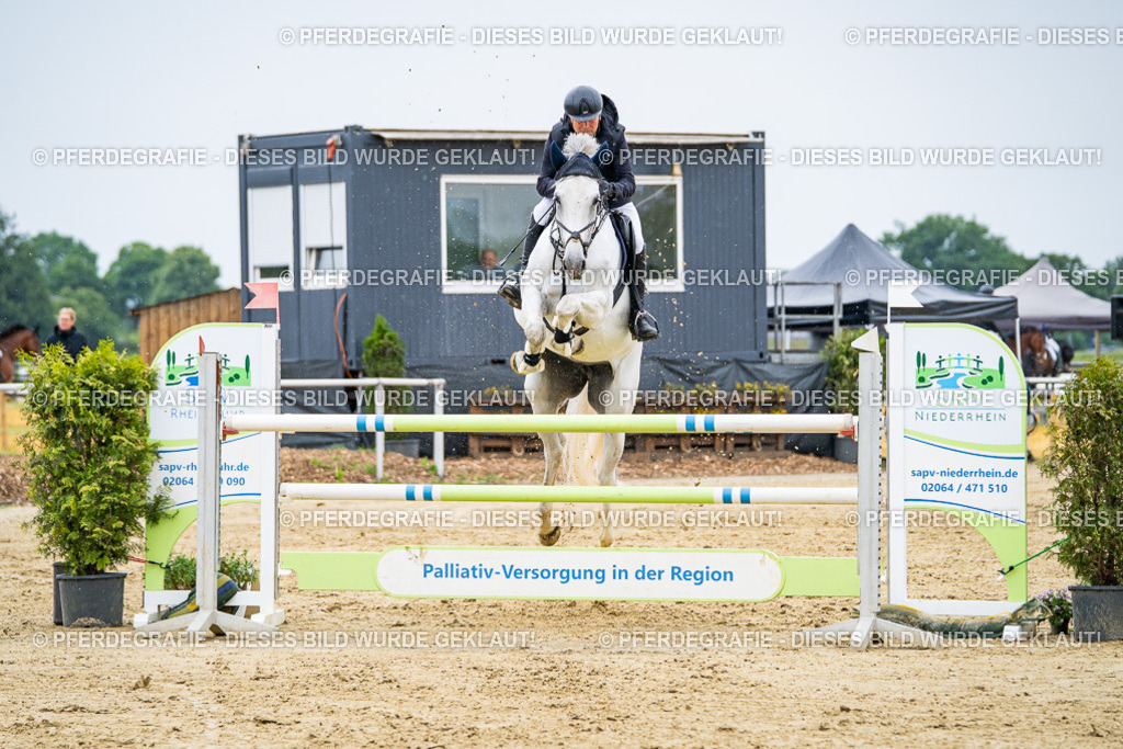 DSC07120 | Pferdegrafie