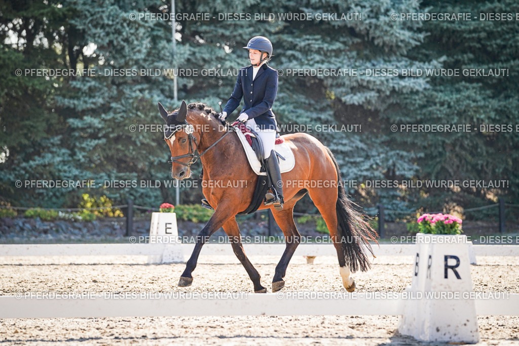 DSC09245 | Pferdegrafie