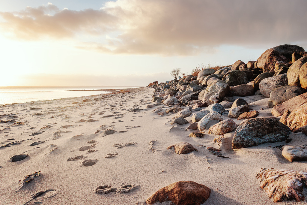 Goldene Küstenruhe im Morgenlicht – Edel-maritime Fotokunst mit Felsen und Sand | Markante Küstensteine ruhen im hellen Sand und leiten den Blick in die sanfte Weite des Horizonts. Das warme Licht der tiefstehenden Sonne verleiht der Szenerie eine edle Note und hebt die natürlichen Strukturen der Findlinge hervor. Dieses Motiv verbindet die Beständigkeit der Natur mit einer friedlichen Klarheit – ein idealer Blickfang, um eine behagliche und zugleich strukturierte Atmosphäre in jedem Raum zu schaffen.