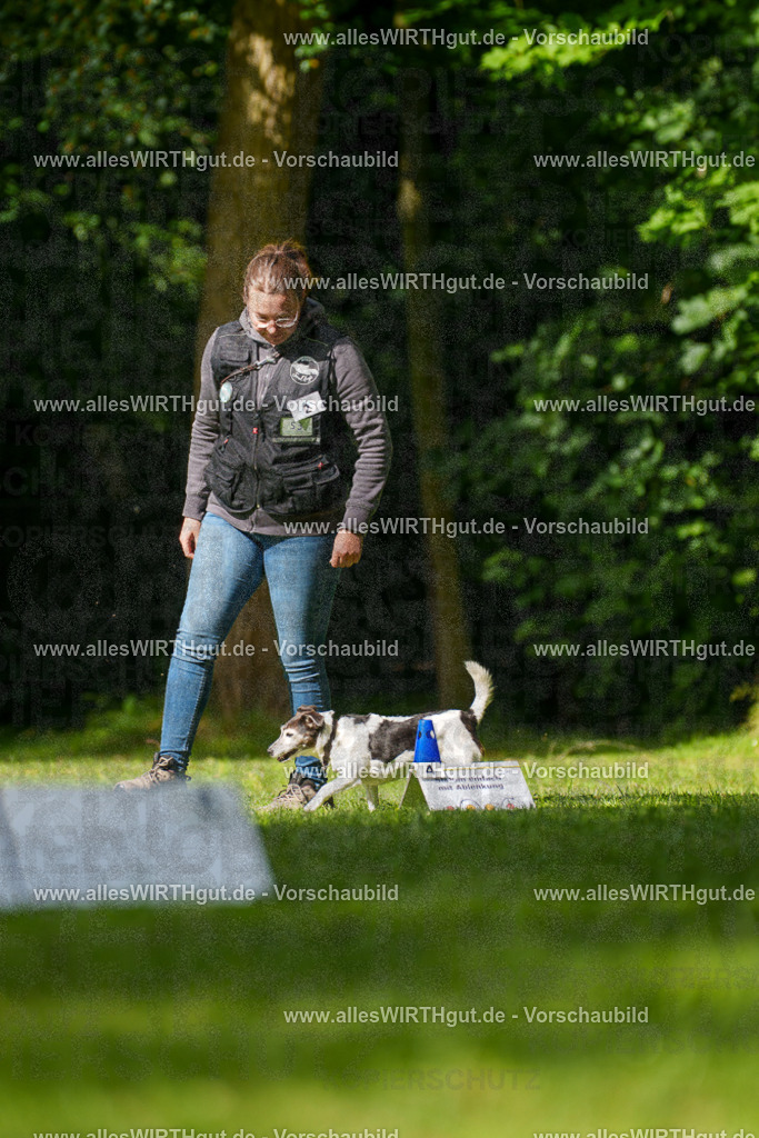 @allesWIRTHgut_Tierfotografie - www.allesWIRTHgut.de - 083020-7R506246 | Professionelle Tierfotografie in Mönchengladbach von Daniel Wirth (allesWIRTHgut). Liebevolle & natürliche Bilder von Hunden & Katzen für unvergessliche Erinnerungen.