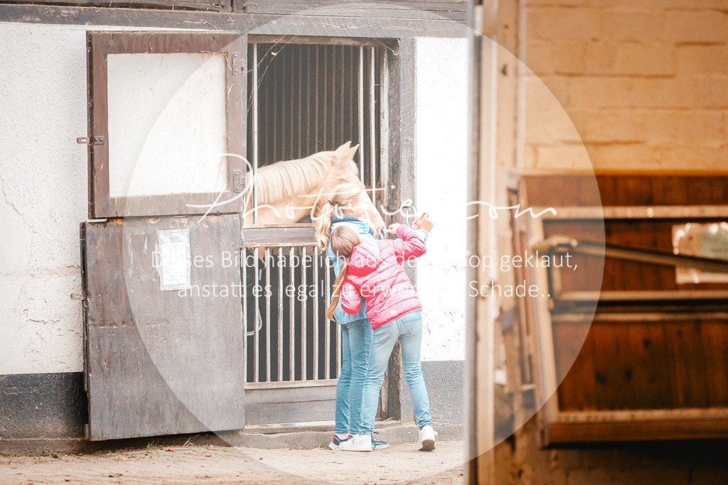 3I6A3358 | Stimmungsvolle Portraits und Reitsportfotografie im Ruhrgebiet und im Münsterland.

Pferdefotografie, Hundefotografie, Tierfotografie, Reportagen, Portraits von Tier und Mensch, Turnierfotografie in Bochum, Recklinghausen, Marl, Haltern am See, Dülmen.. - Realisiert mit Pictrs.com