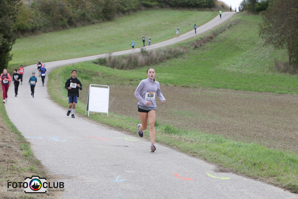 03_Winzerweg (131) | Foto Buchgraber