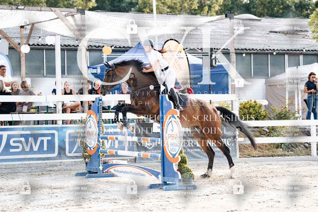 CK906422 | Turnierfotografie Pferdefotografie Trier Rheinland-Pfalz Pferdesport Reitsport Tierfotografie Sportfotografie Pferdevideo Pferdevideografie Equestrianvideography equestrianphotography  - Realisiert mit Pictrs.com