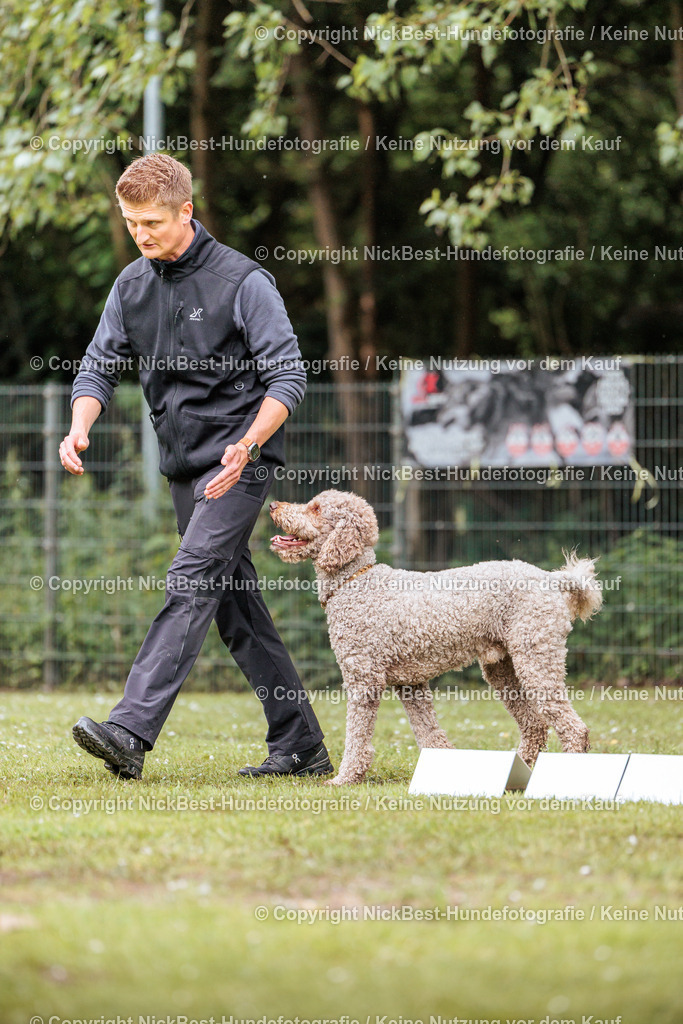 RO-Blumenthal-2026-Nickbest-Hundefotografie-4193 | Dein Hund! Dein Moment! Deine Erinnerungen! Hundefotografie in Bremen Blumenthal. Ich fange die besonderen Momente deines Vierbeiners ein – ob Indoor mit Blitzanlage oder in der freien Natur. Sicher dir dein Moment und dein Termin für eure Erinnerungen.