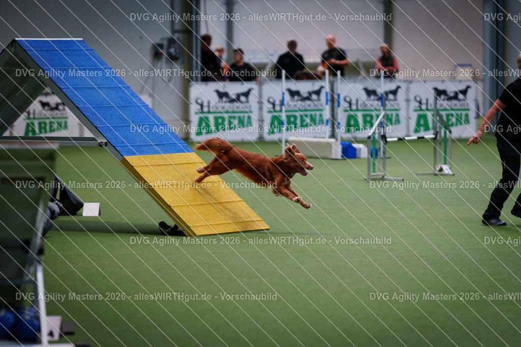 allesWIRTHgut_Tierfotografie-DVG_Agility_Masters_2026-13_38-7R509791 | Professionelle Tierfotografie in Mönchengladbach von Daniel Wirth (allesWIRTHgut). Liebevolle & natürliche Bilder von Hunden & Katzen für unvergessliche Erinnerungen.
