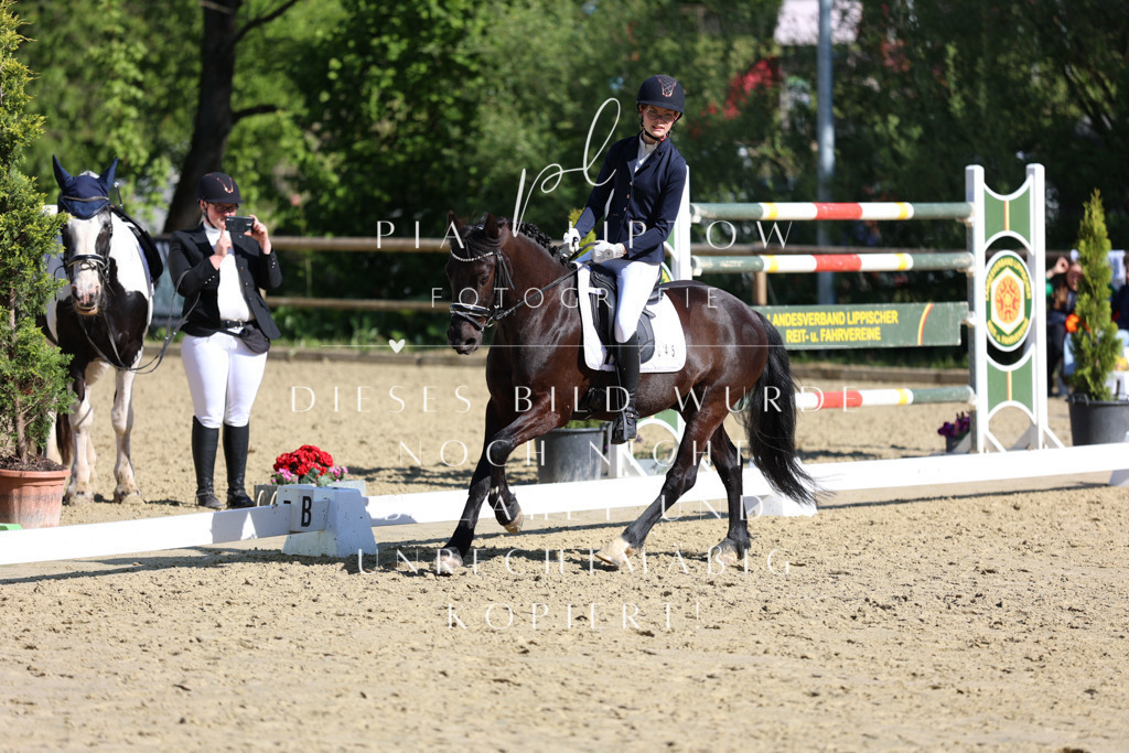 IMGT9973 | pl-fotografie