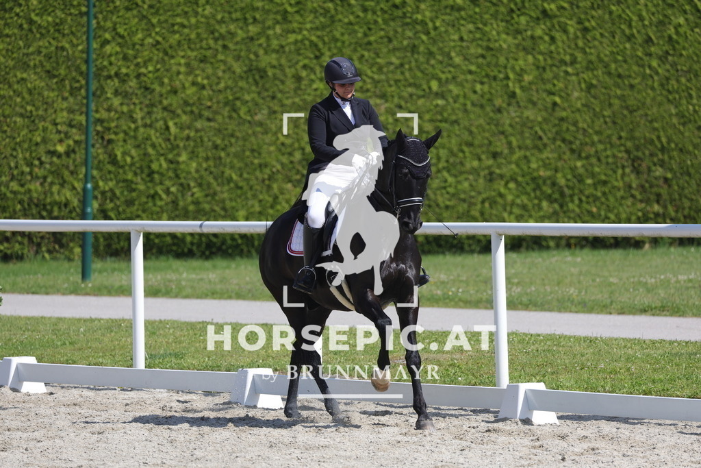 0P6A2956 | Willkommen bei Brunnmayr - Design & Fotografie – Ihrem Spezialisten für Reitturniere und Pferdeveranstaltungen in Oberösterreich, Salzburg und Bayern! Seit über 17 Jahren sind wir leidenschaftlich dabei.