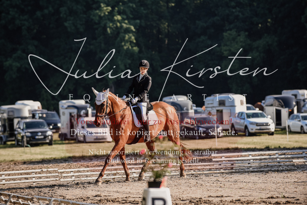 DSC_7726 | Pferde- und Turnierfotografie in Westsachsen. Pferdeportraits, Auftragszeichnungen und intuitive Kunst.