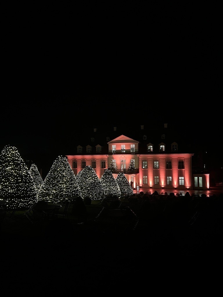 IMG_9423 | ace - Realisiert mit Pictrs.com