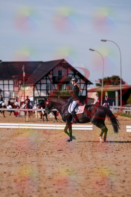 2026_10_03_Siefer-Hof_115442_Z81_94291571 | Professionelle Reitsport-, Turnier- und Eventfotografie von Robert Broda. Galerien mit ausgewählten und bearbeiteten Bildern direkt online ansehen und bestellen.