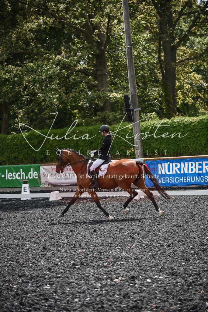 DSC_4358 | Pferde- und Turnierfotografie in Westsachsen. Pferdeportraits, Auftragszeichnungen und intuitive Kunst.