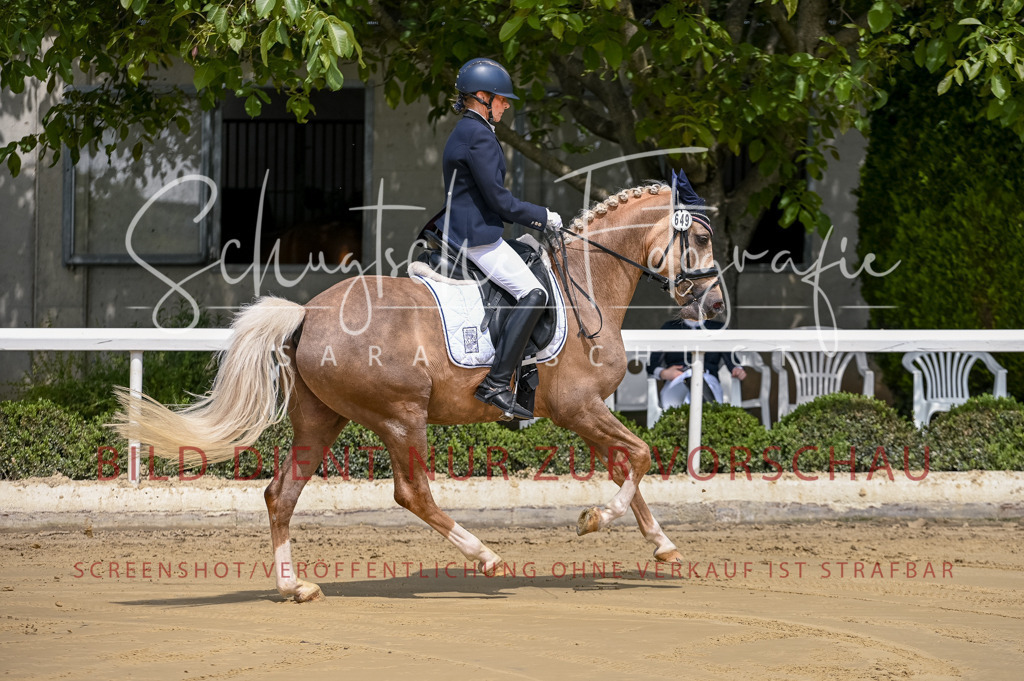 Schugtsche-Aluta25-48.Reitpferfdeprf.-49 | Schugtsche Fotografie - Realisiert mit Pictrs.com