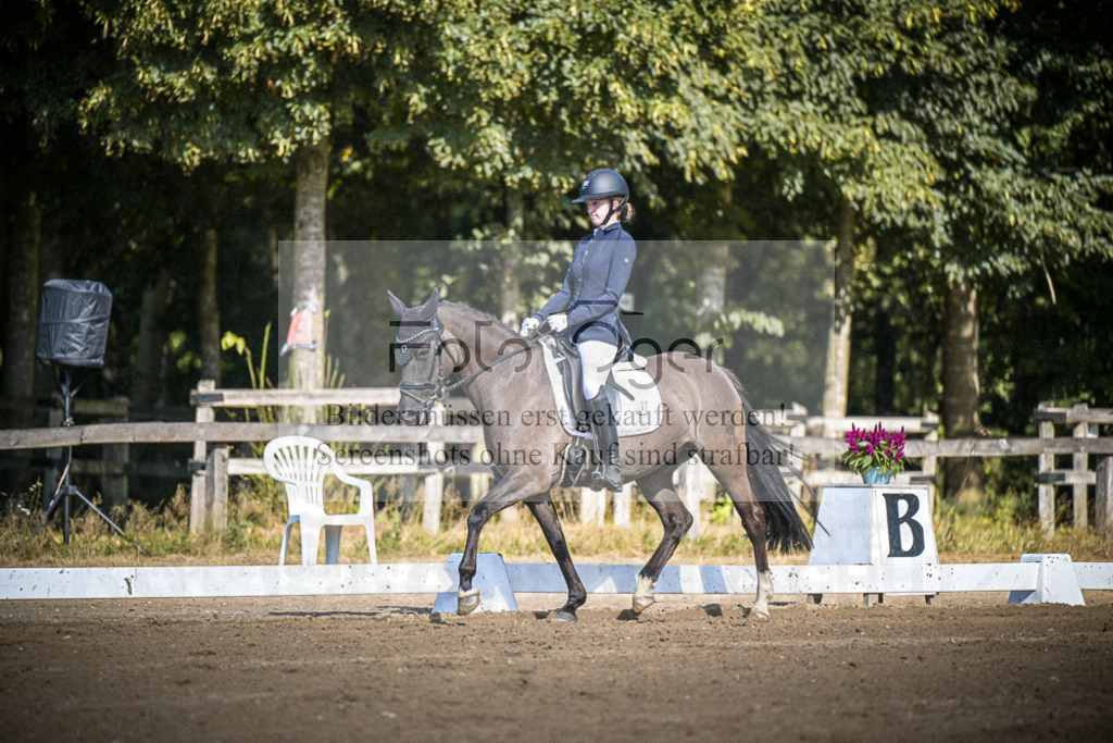 DOS_2951 | Entdecke hochwertige Reitturnierfotos von Foto Oger. Professionell, emotional und authentisch – jetzt Lieblingsmomente im Shop bestellen.Deutschlandweite Turnierfotografie. - Realisiert mit Pictrs.com