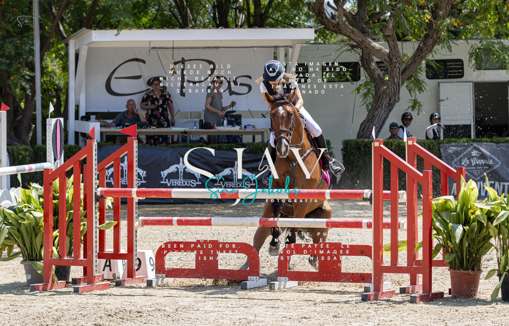 IMG_7910 | s-jay-photography - Realisiert mit Pictrs.com