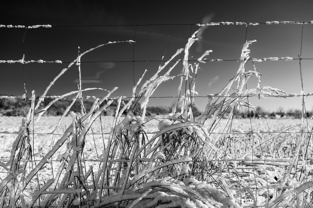 2023_03_11_MCP7157 sw | Hochwertig gedruckte Fotografien für die Wand, als Kalender und zum Verschenken. Hamburg & Norddeutschland und überall wo ich mit der Kamera unterwegs war.