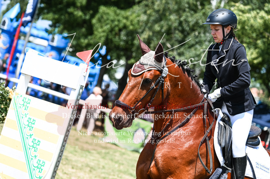 DSC_9890 | Pferde- und Turnierfotografie in Westsachsen. Pferdeportraits, Auftragszeichnungen und intuitive Kunst.