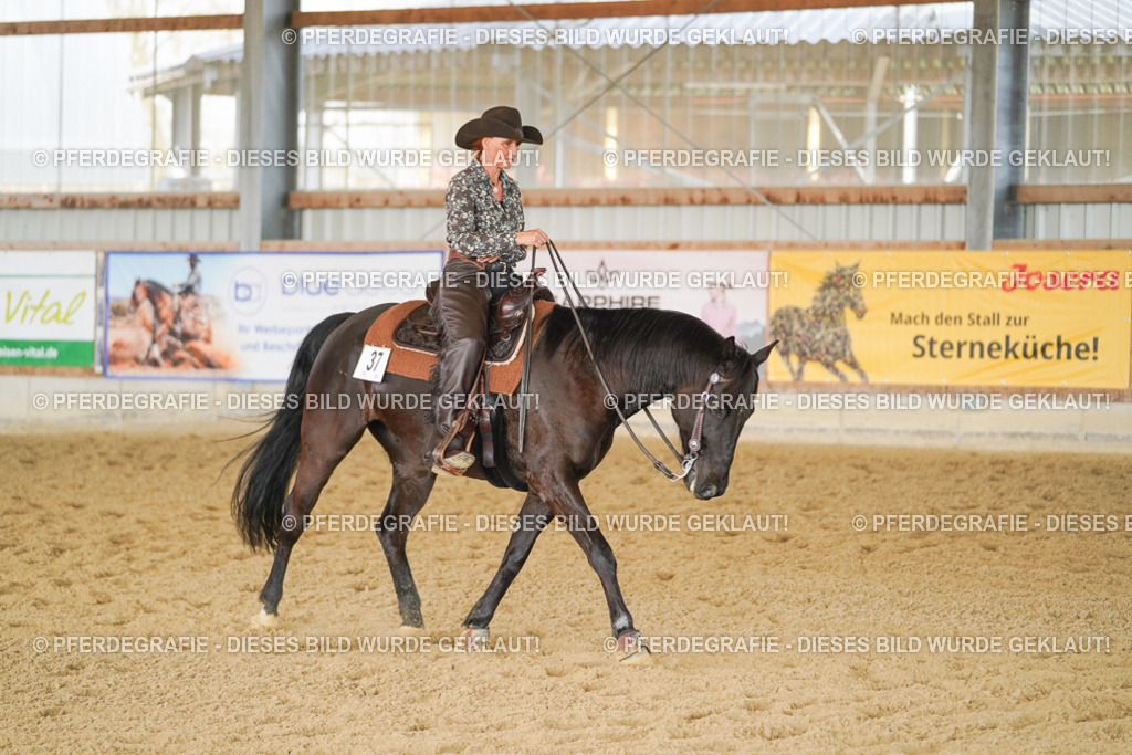 DSC00684 | Pferdegrafie