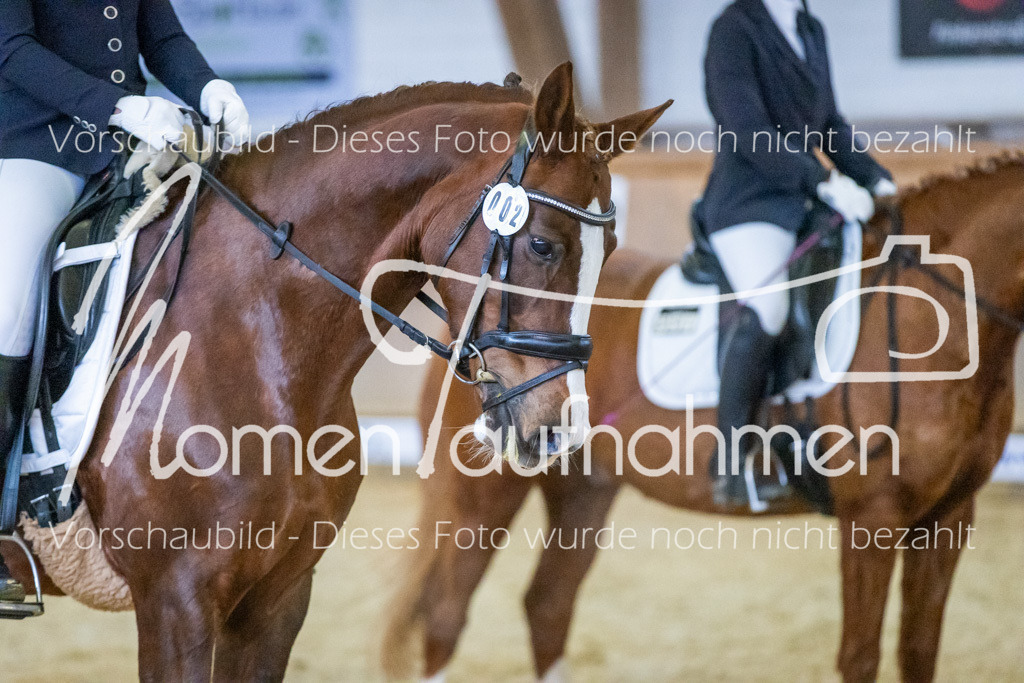 Sth-WBO25-DrR-091 | MomenTaufnahmen Pferdesportfotos