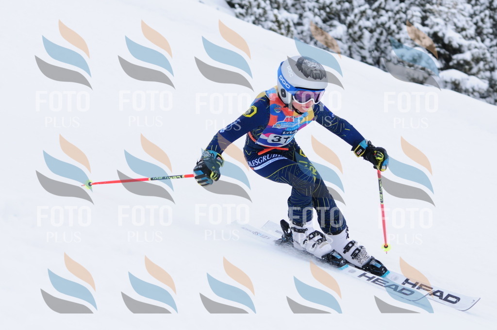 C3378 | holidayphoto