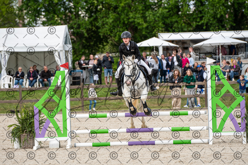 KPT_6493 | andre_photographic