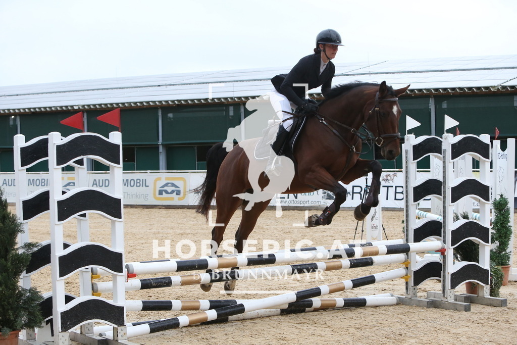 DL2Q0295 | Willkommen bei Brunnmayr - Design & Fotografie – Ihrem Spezialisten für Reitturniere und Pferdeveranstaltungen in Oberösterreich, Salzburg und Bayern! Seit über 17 Jahren sind wir leidenschaftlich dabei.