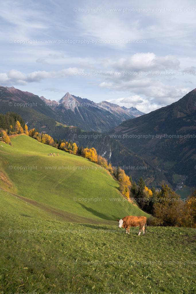  Astegg Herbst copyright  Thomas Pfister-3 | PHOTOGRAPHY BY THOMAS PFISTER