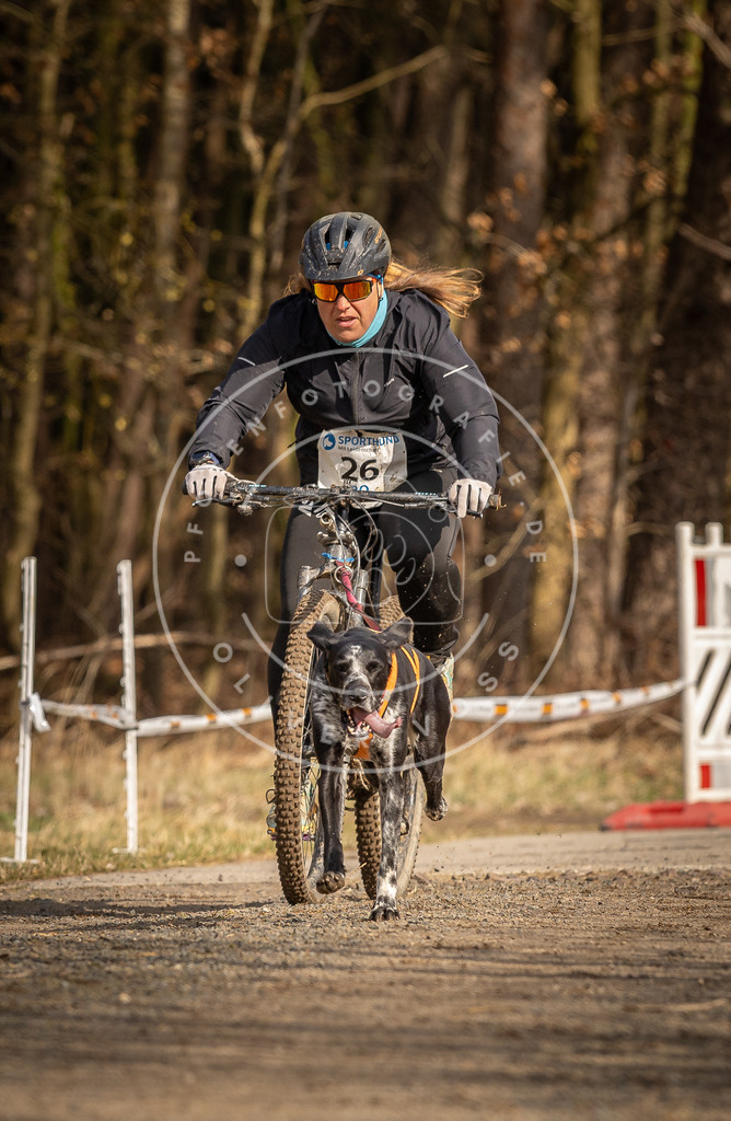 DV3A4301 | Hundefotografie, Tierfotograf, Pfotenfotografie, Fotoshooting Hund, Hunde Portrait, Hundesport, Hundeportraits, Heideshooting, Hunde, Sportfotograf, Hundefotograf, Turnierhundsport, THS,  - Realisiert mit Pictrs.com