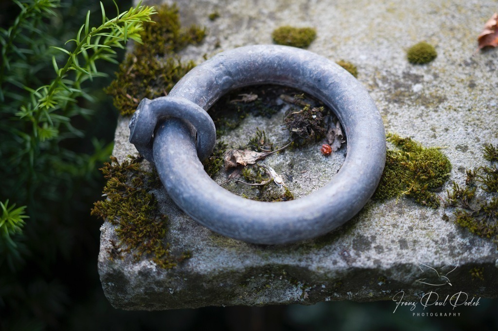 2024-08-08_20_28_40_L1007864 | Franz Podek