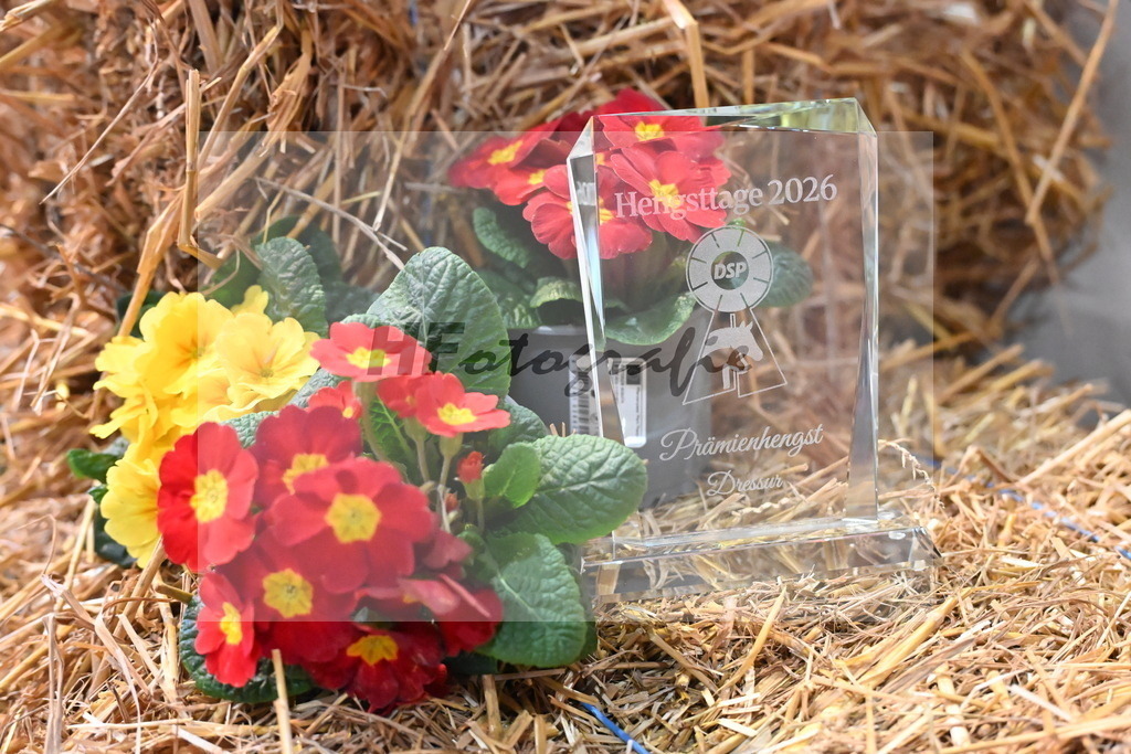 Impressionen_326004 | hf-fotografie - Realisiert mit Pictrs.com