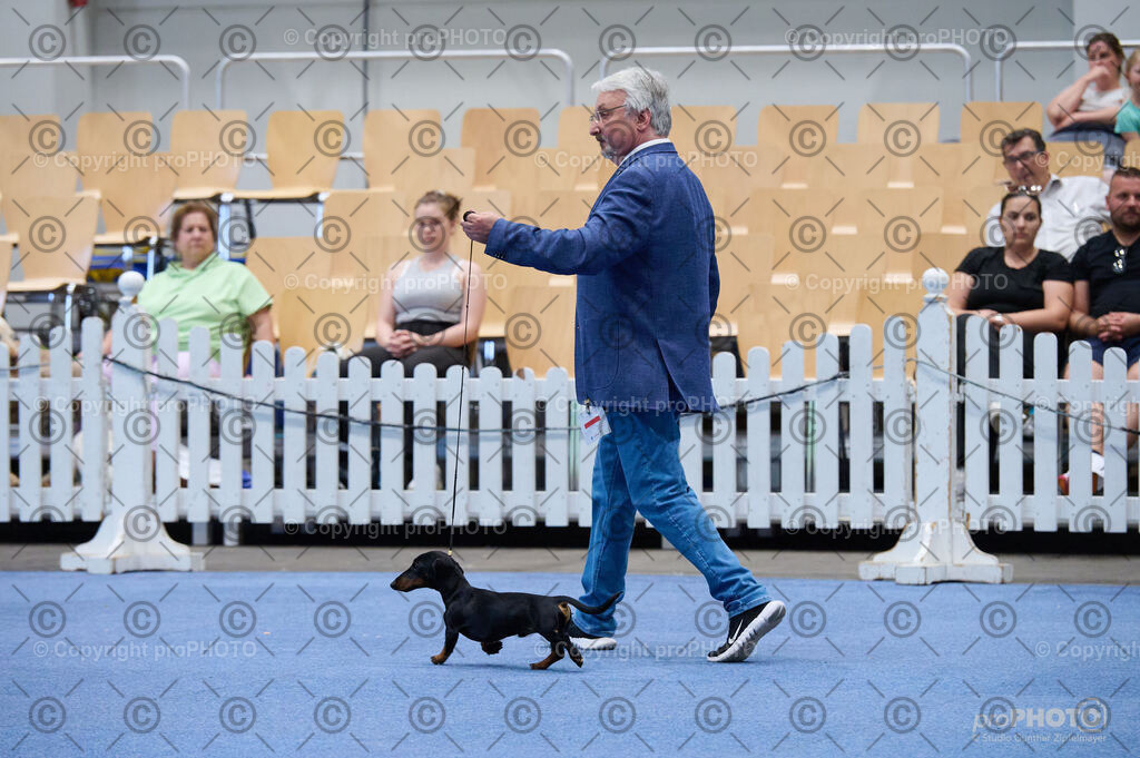 202406_ÖKV-IHA-Tulln24_DSC_5310 | proPHOTO - Realisiert mit Pictrs.com