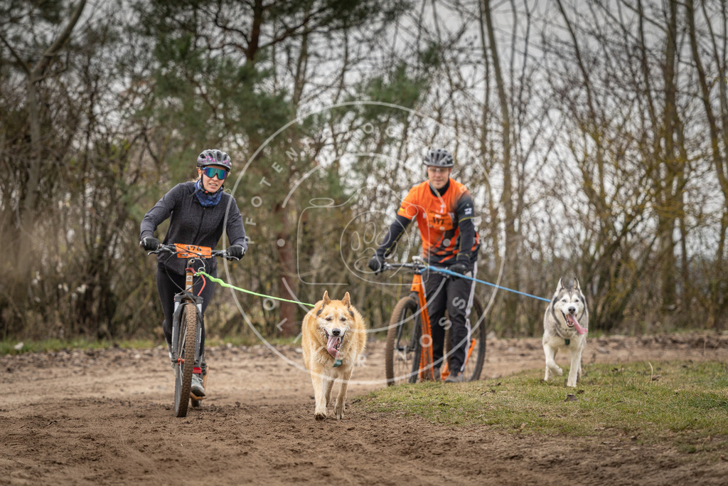 Pfotenfotografie_DV3A0175 | Hundefotografie, Tierfotograf, Pfotenfotografie, Fotoshooting Hund, Hunde Portrait, Hundesport, Hundeportraits, Heideshooting, Hunde, Sportfotograf, Hundefotograf, Turnierhundsport, THS,  - Realisiert mit Pictrs.com