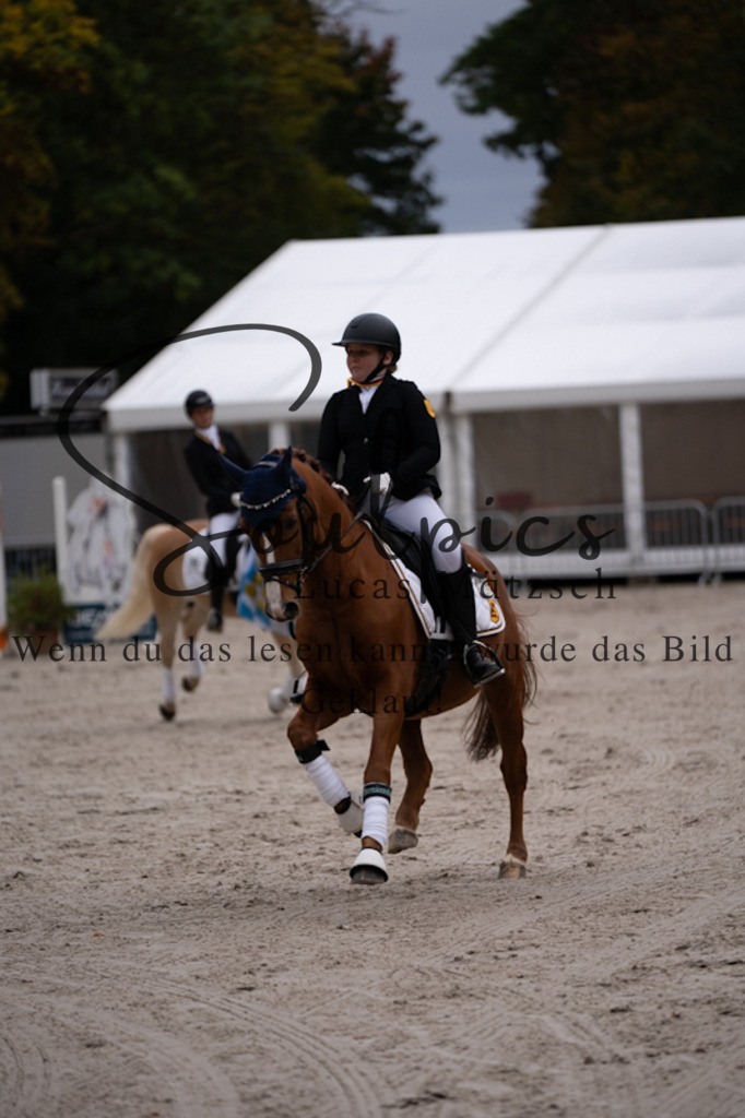 A7V01248 | Turnier/Reitfotograf