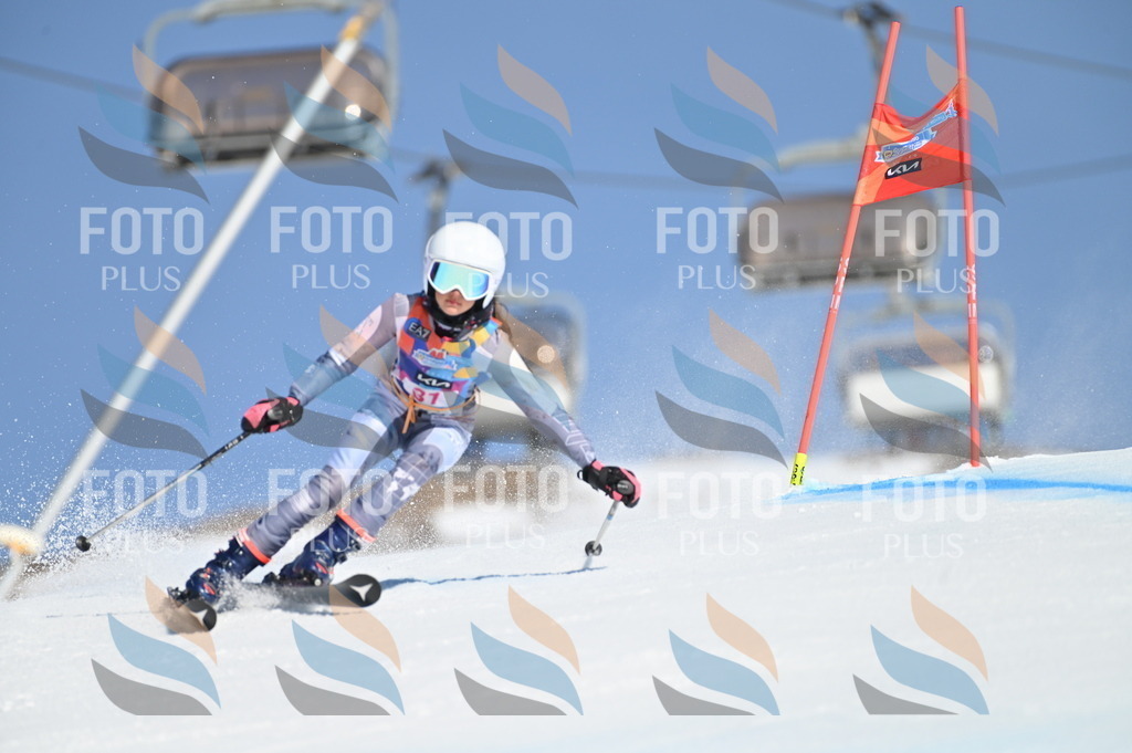 BGV_8149 | holidayphoto