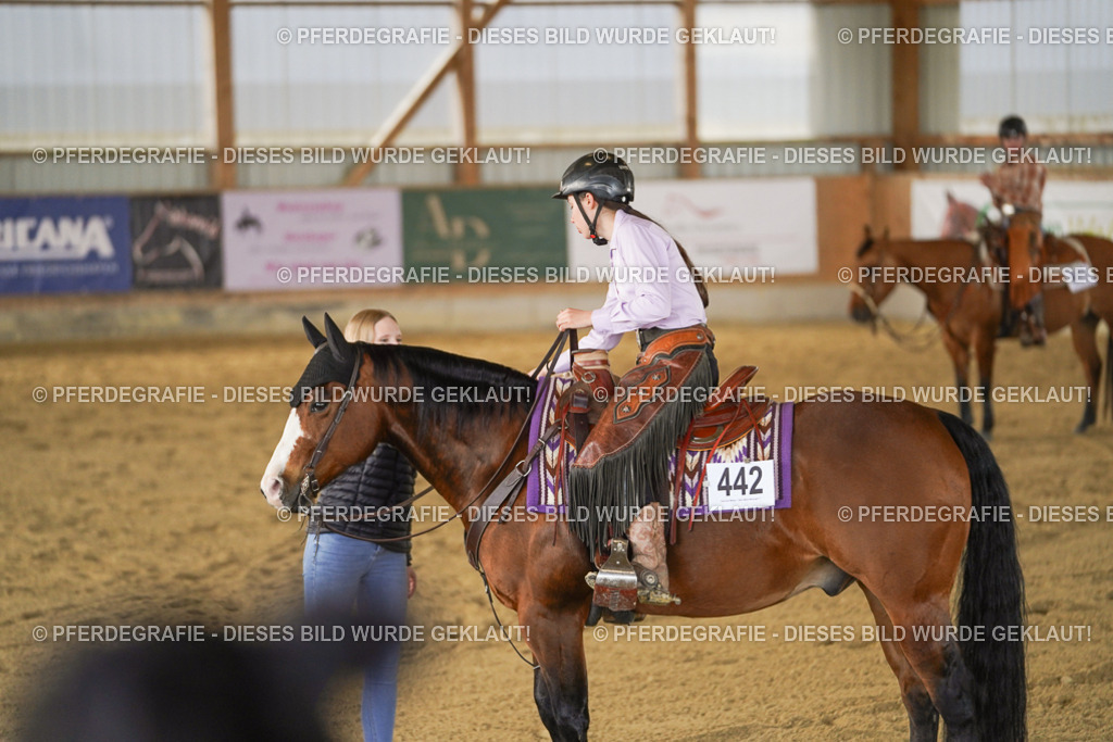 DSC09009 | Pferdegrafie