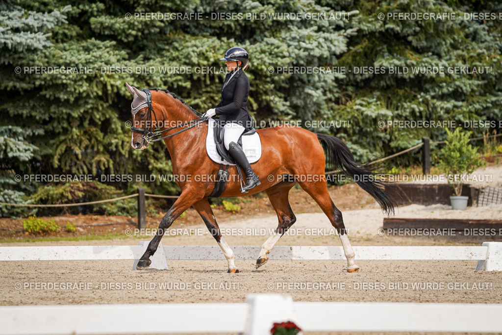 DSC05329 | Pferdegrafie