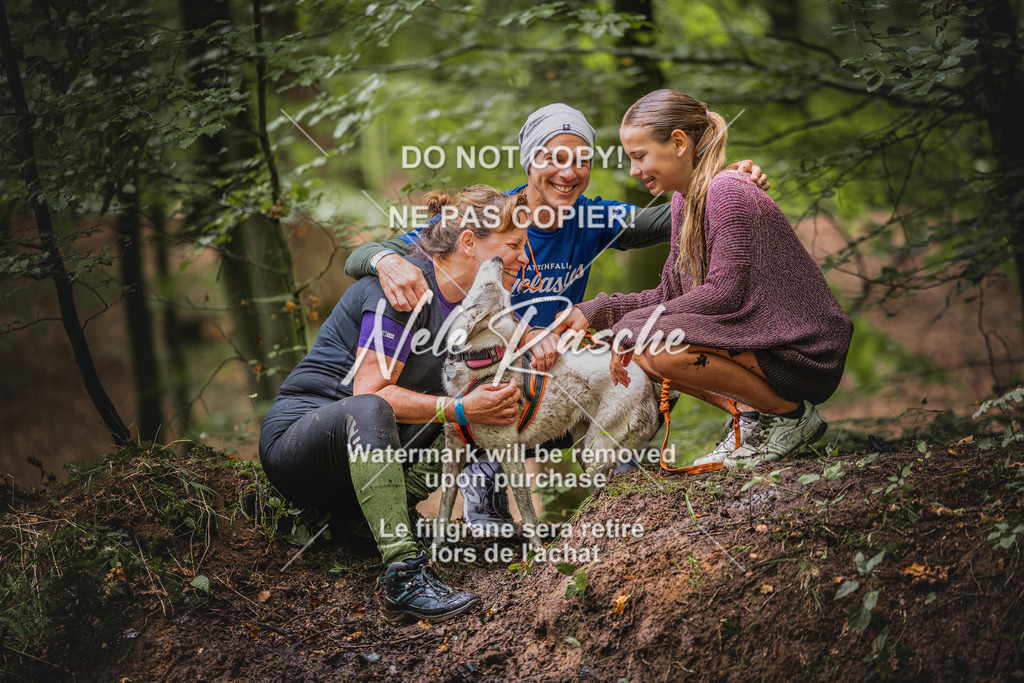 nelerasche_SaWingst1300-1400_121 | nelerasche