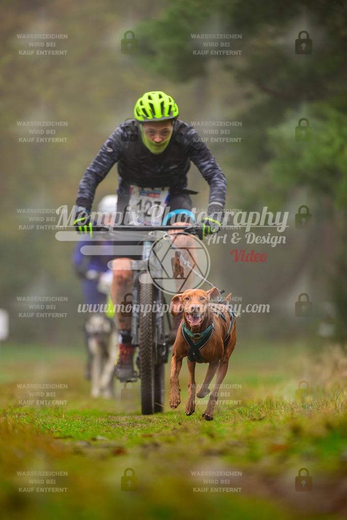 MompixPhotography_Bischwiller2025_Bike-60 | mompixphotography