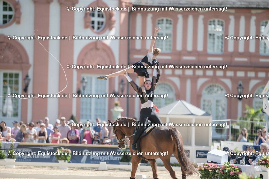 20230528_Voltigieren_NASPA_0559 | equistock