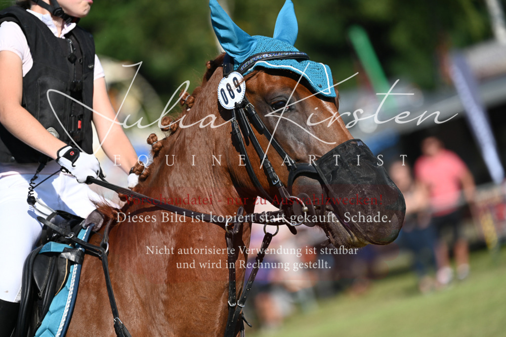 DSC_5334 | Pferde- und Turnierfotografie in Westsachsen. Pferdeportraits, Auftragszeichnungen und intuitive Kunst.