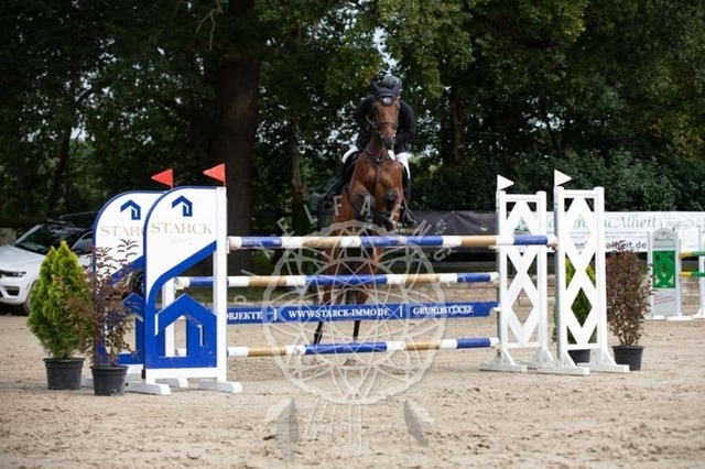 2B4A2496 | pixelfaenger - Realisiert mit Pictrs.com