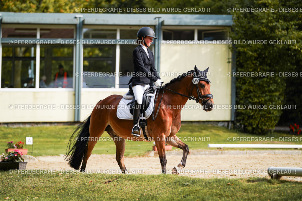 DSC04568 | Pferdegrafie