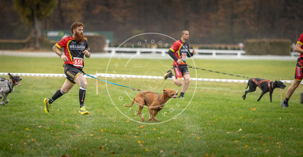 CaniXpix_DV3A9499 | Hundefotografie, Tierfotograf, Pfotenfotografie, Fotoshooting Hund, Hunde Portrait, Hundesport, Hundeportraits, Heideshooting, Hunde, Sportfotograf, Hundefotograf, Turnierhundsport, THS,  - Realisiert mit Pictrs.com