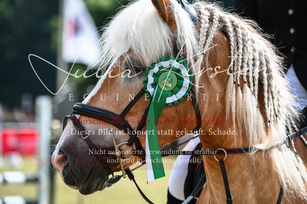 DSC_8624 | Pferde- und Turnierfotografie in Westsachsen. Pferdeportraits, Auftragszeichnungen und intuitive Kunst.