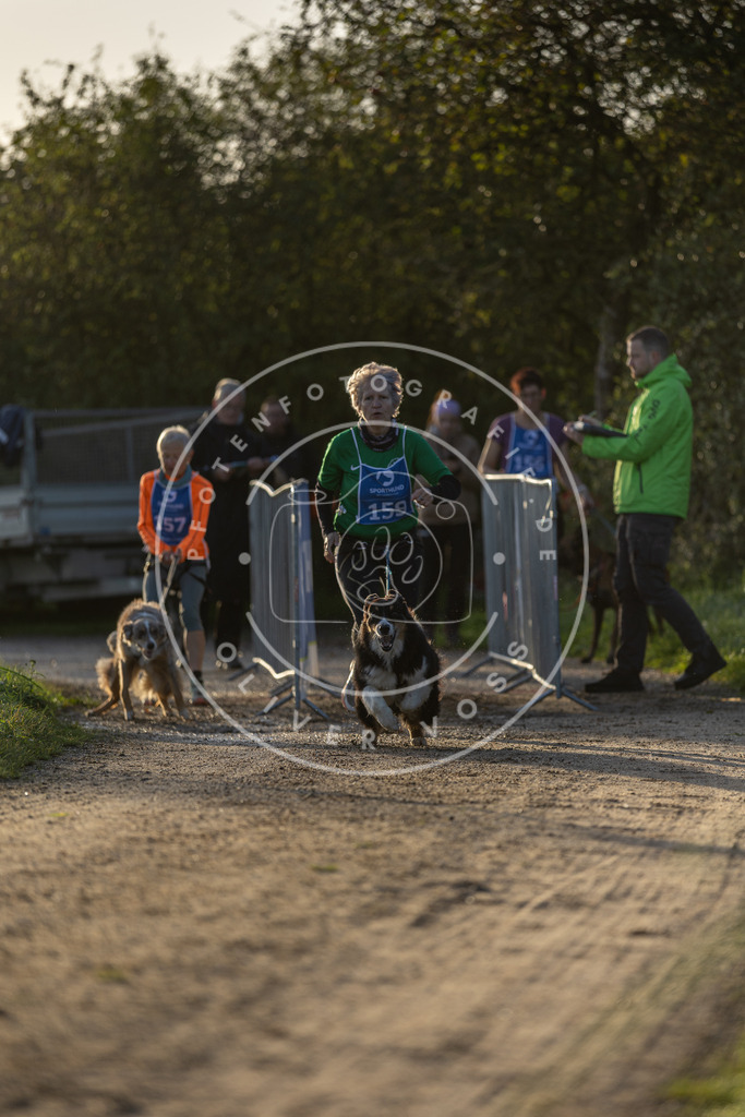 Pfotenfotografie.de_DV3A2565 | Hundefotografie, Tierfotograf, Pfotenfotografie, Fotoshooting Hund, Hunde Portrait, Hundesport, Hundeportraits, Heideshooting, Hunde, Sportfotograf, Hundefotograf, Turnierhundsport, THS, canicross - Realisiert mit Pictrs.com