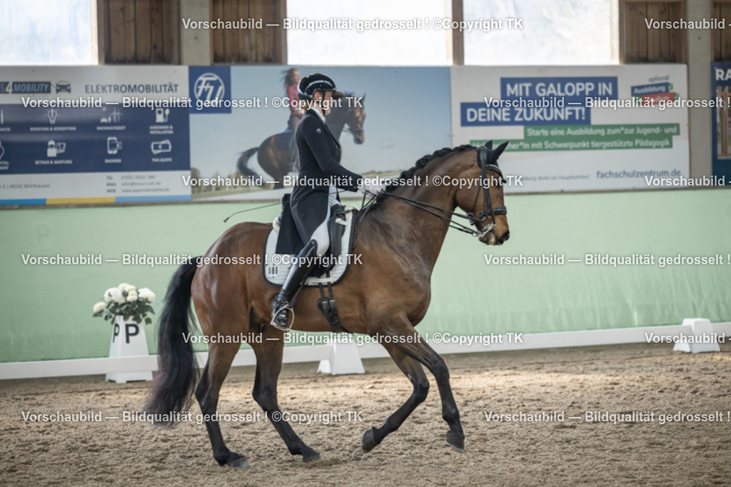 _D5A4846 | Emotionale Pferde- & People-Fotografie rund um Heidelberg, Leimen & Umgebung. Natürliche Fotos von Pferd, Mensch & Familie. Jetzt Termin sichern!