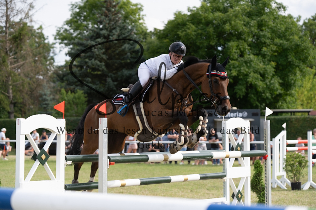 A7V02731 | Pferdefotograf