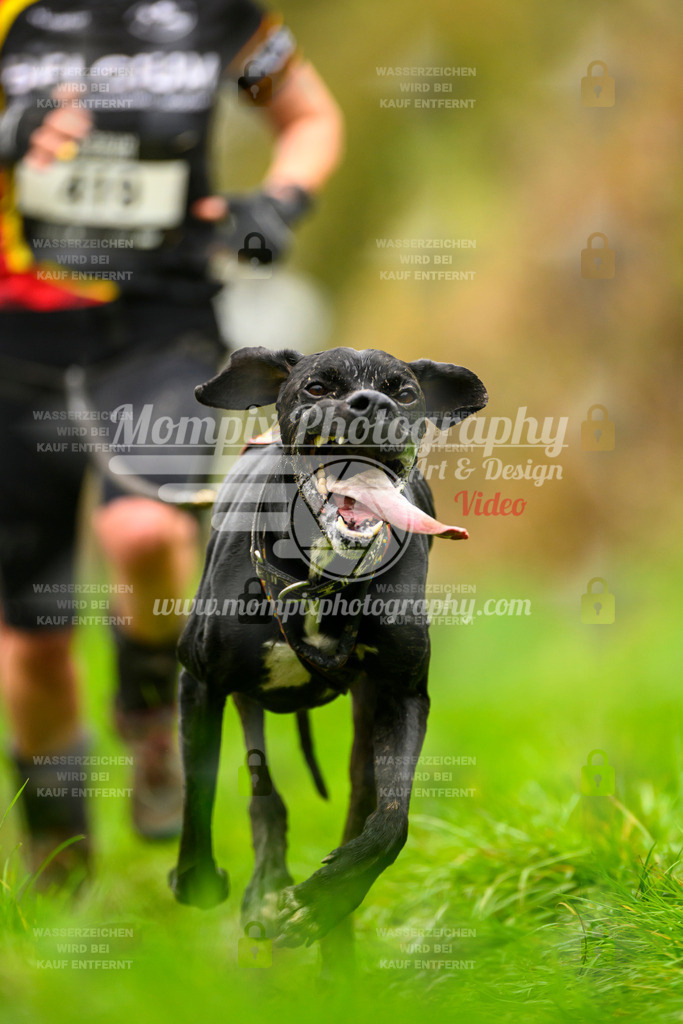 MompixPhotography_20TSB_E8_Run-108 | PayLife