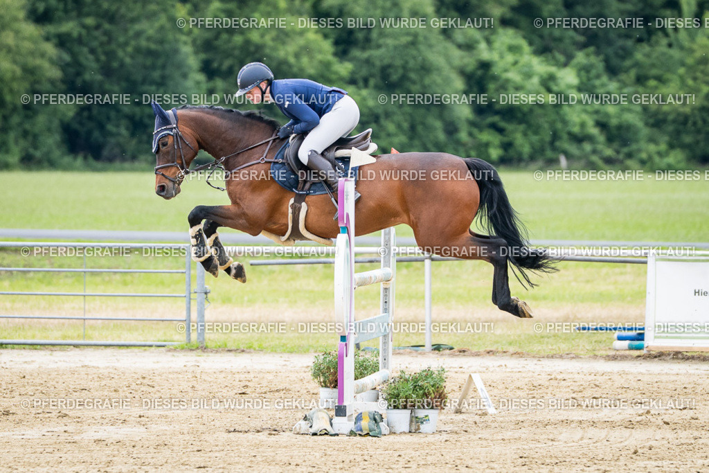 DSC05353 | Pferdegrafie