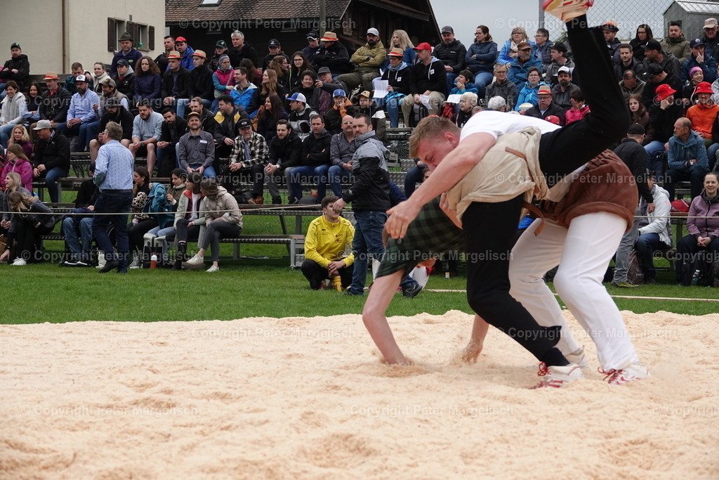 DSC03203 | Schwingen - Realisiert mit Pictrs.com